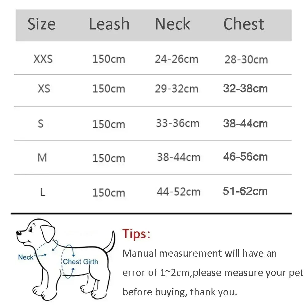 Ensemble harnais et laisse ajustable pour petit chien et chat - Laisse et harnais pour chien
