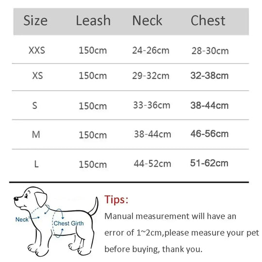 Ensemble harnais et laisse ajustable pour petit chien et chat - Laisse et harnais pour chien
