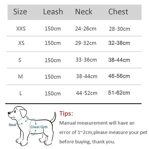 Ensemble harnais et laisse ajustable pour petit chien et chat - Laisse et harnais pour chien