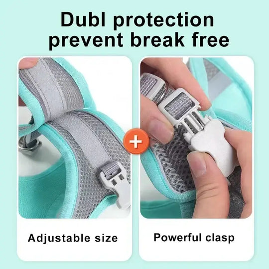 Ensemble harnais et laisse ajustable pour petit chien et chat - Laisse et harnais pour chien