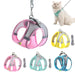 Ensemble harnais et laisse ajustable pour petit chien et chat - Laisse et harnais pour chien