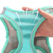 Ensemble harnais et laisse ajustable pour petit chien et chat - Laisse et harnais pour chien