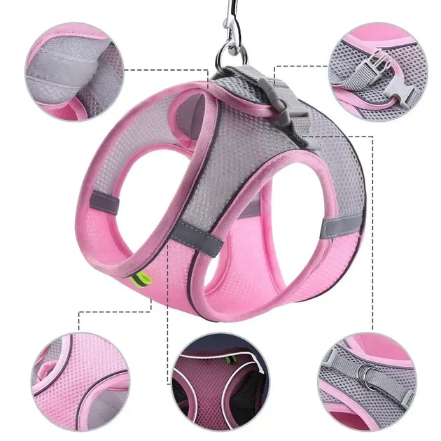 Ensemble harnais et laisse ajustable pour petit chien et chat - Laisse et harnais pour chien
