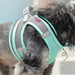 Ensemble harnais et laisse ajustable pour petit chien et chat - Laisse et harnais pour chien