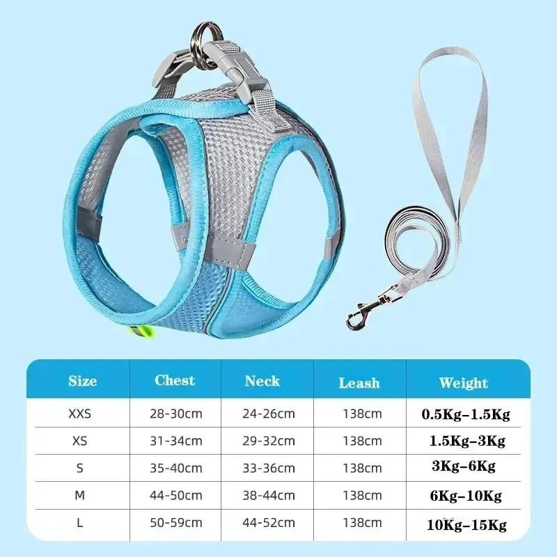 Ensemble harnais et laisse ajustable pour petit chien et chat - Bleu / S - Laisse et harnais pour chien