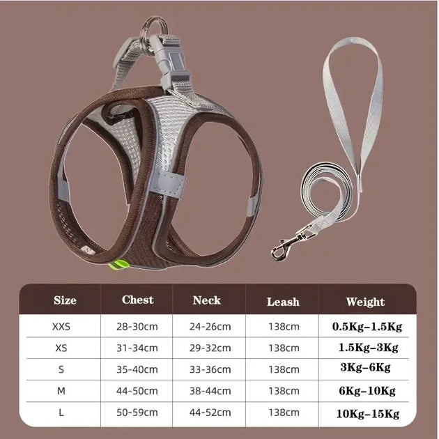 Ensemble harnais et laisse ajustable pour petit chien et chat - Gris / XS - Laisse et harnais pour chien
