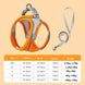 Ensemble harnais et laisse ajustable pour petit chien et chat - Orange / XXS - Laisse et harnais pour chien
