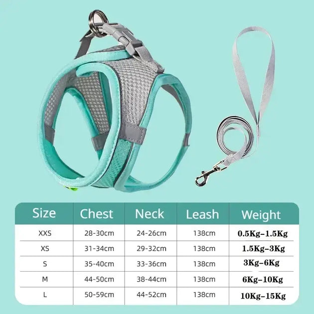 Ensemble harnais et laisse ajustable pour petit chien et chat - Vert / XS - Laisse et harnais pour chien