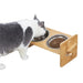 Gamelles pour petits chiens en acier inoxydable et bambou - Argent / Allemagne - Mangeoire pour chien