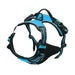 Harnais pour chien en mesh noir et puppy accessories - Bleu / S - Harnais pour chien