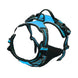 Harnais pour chien en mesh noir et puppy accessories - Bleu / S - Harnais pour chien