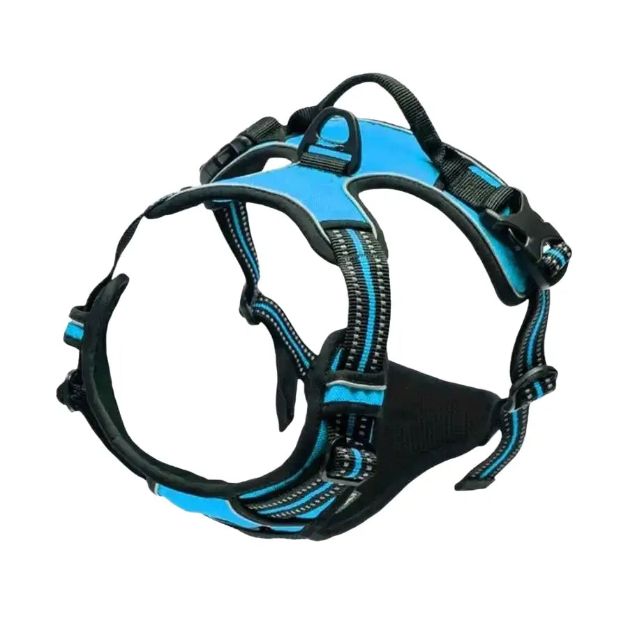 Harnais pour chien en mesh noir et puppy accessories - Bleu / S - Harnais pour chien