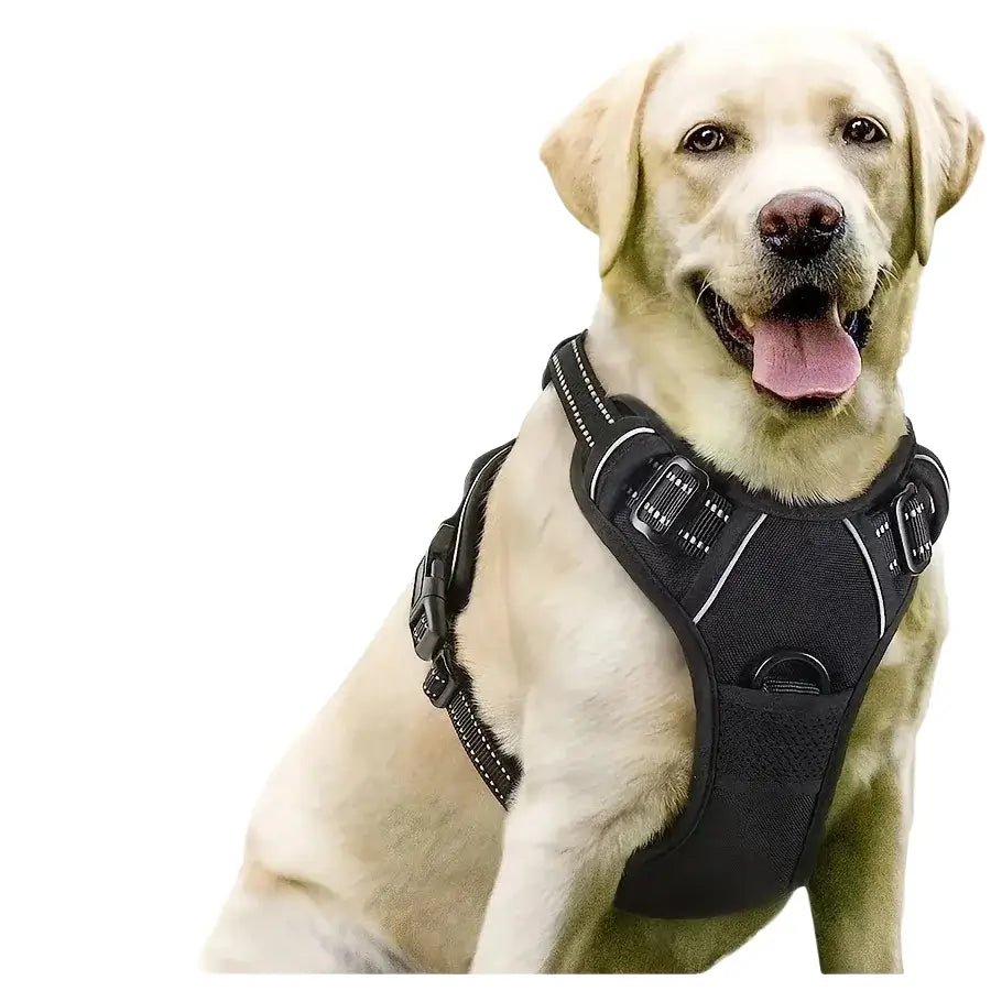 Harnais pour chien en mesh noir et puppy accessories - Harnais pour chien