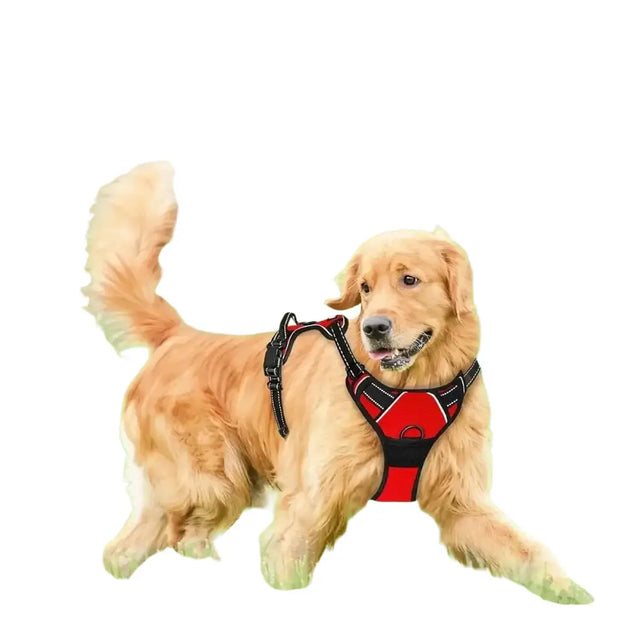 Harnais pour chien en mesh noir et puppy accessories - Harnais pour chien