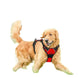 Harnais pour chien en mesh noir et puppy accessories - Harnais pour chien