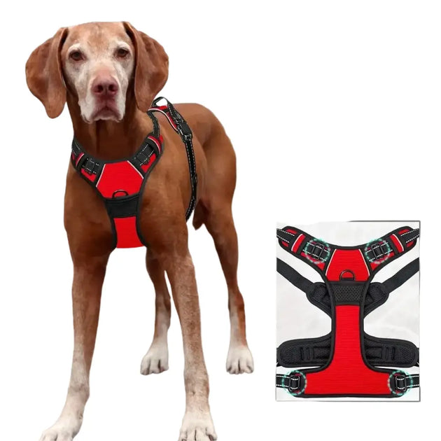 Harnais pour chien en mesh noir et puppy accessories - Harnais pour chien