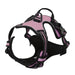Harnais pour chien en mesh noir et puppy accessories - Rose / S - Harnais pour chien