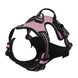 Harnais pour chien en mesh noir et puppy accessories - Rose / S - Harnais pour chien