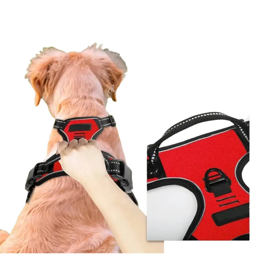 Harnais pour chien en mesh noir et puppy accessories - Harnais pour chien