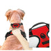 Harnais pour chien en mesh noir et puppy accessories - Harnais pour chien