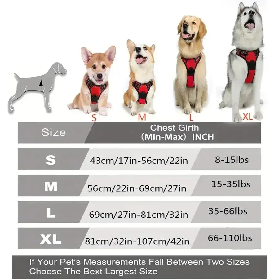 Harnais pour chien en mesh noir et puppy accessories - Harnais pour chien