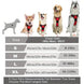 Harnais pour chien en mesh noir et puppy accessories - Harnais pour chien