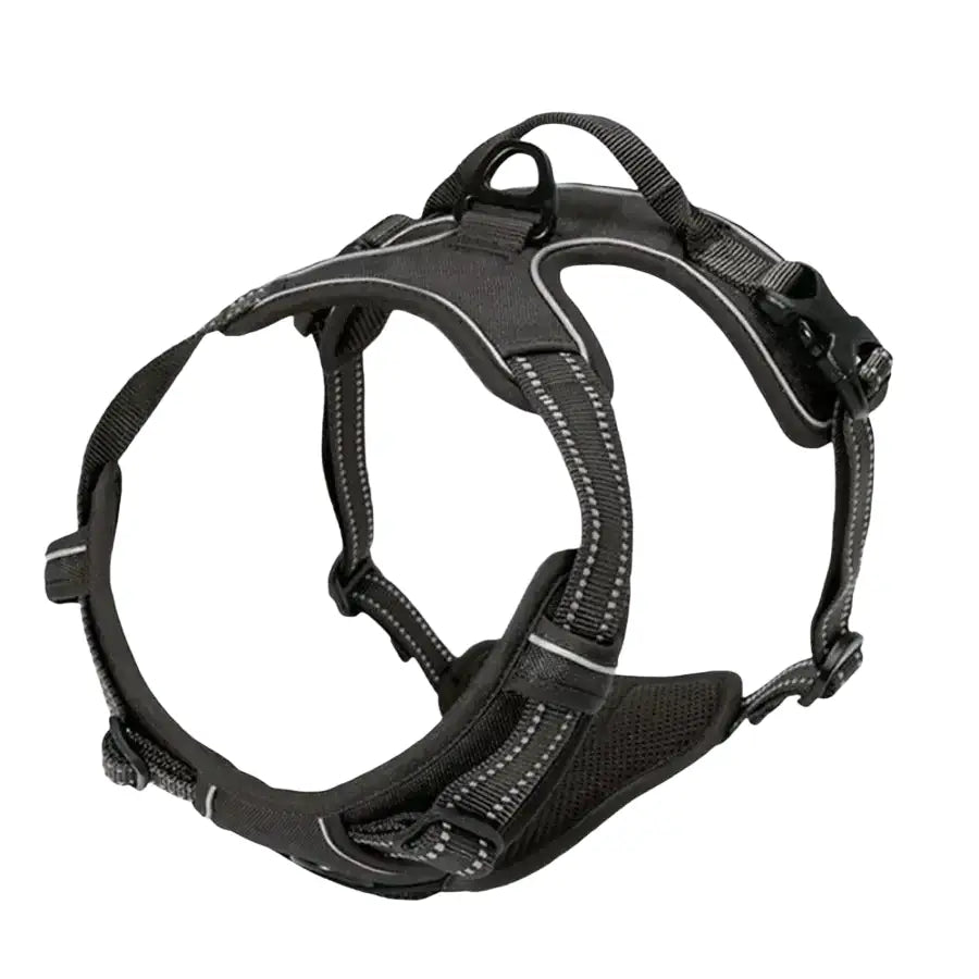 Harnais pour chien en mesh noir et puppy accessories - Noir / S - Harnais pour chien