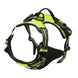 Harnais pour chien en mesh noir et puppy accessories - Vert / S - Harnais pour chien