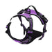 Harnais pour chien en mesh noir et puppy accessories - Violet / S - Harnais pour chien
