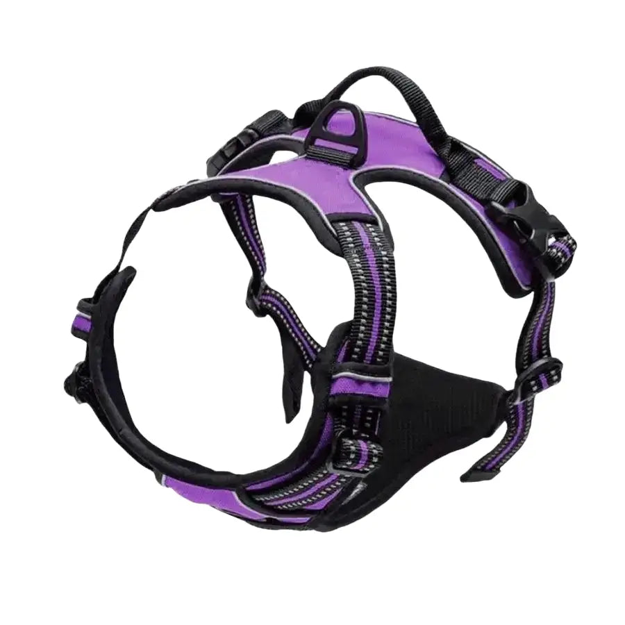 Harnais pour chien en mesh noir et puppy accessories - Violet / S - Harnais pour chien