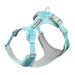 Harnais pour chien respirant anti traction réfléchissant - Bleu ciel / XS(Tour de poitrine 38-42cm) - Harnais pour chien