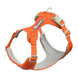 Harnais pour chien respirant anti traction réfléchissant - Orange / XS(Tour de poitrine 38-42cm) - Harnais pour chien
