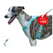 Harnais pour chien respirant anti traction réfléchissant - Harnais pour chien