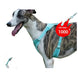 Harnais pour chien respirant anti traction réfléchissant - Harnais pour chien