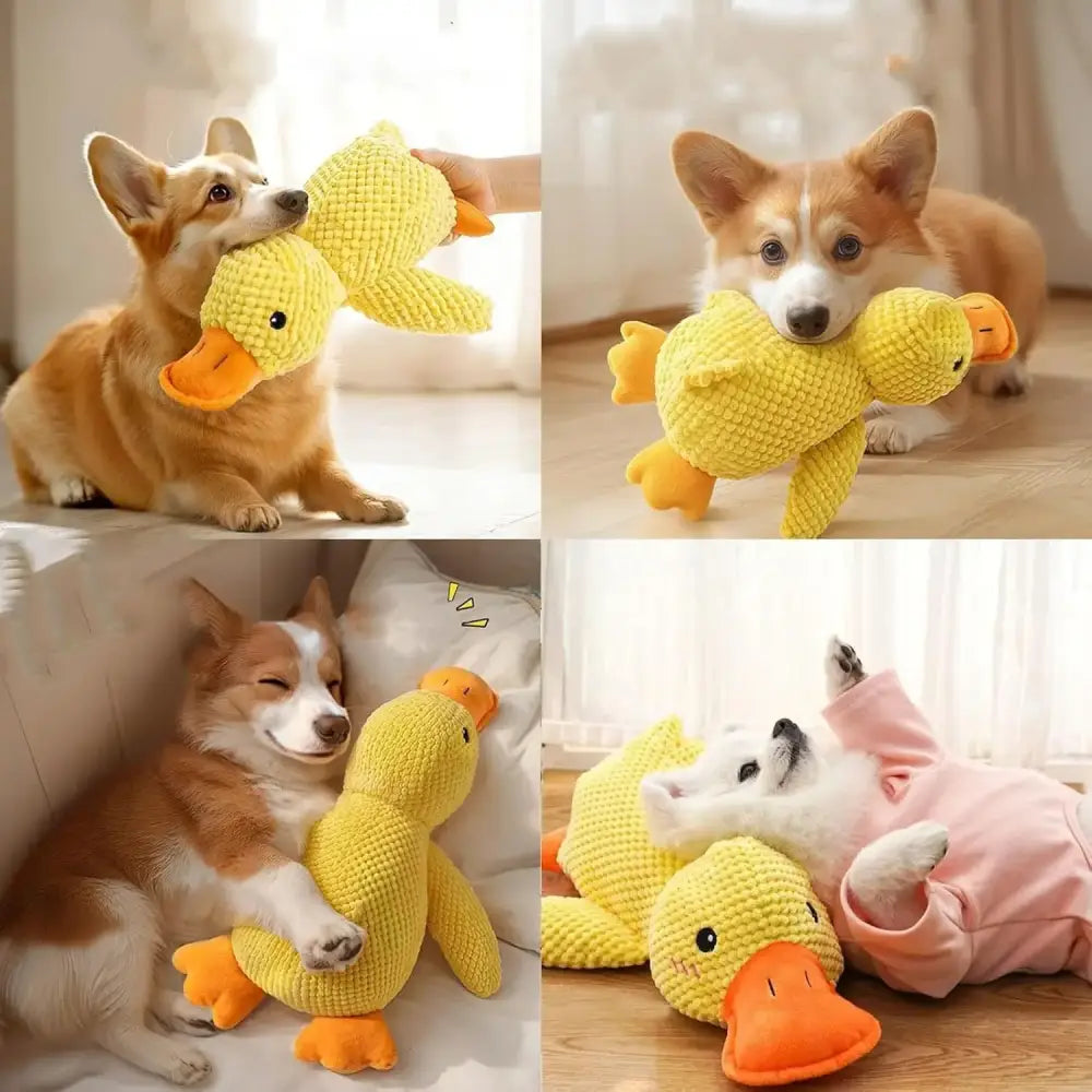 Jouet canard en peluche résistant et sonore pour chien - Jouet pour chien