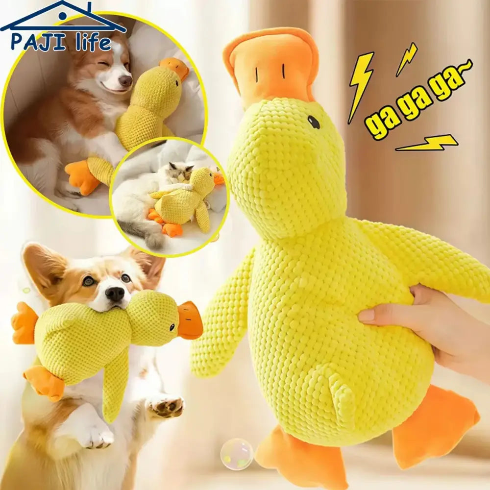 Jouet canard en peluche résistant et sonore pour chien - Jouet pour chien