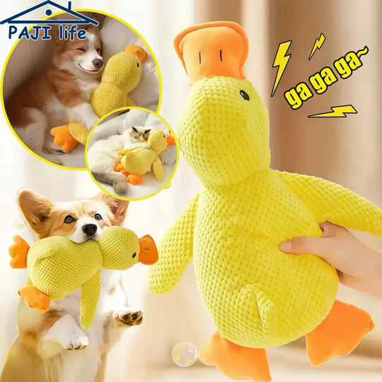 Jouet canard en peluche résistant et sonore pour chien - Jouet pour chien