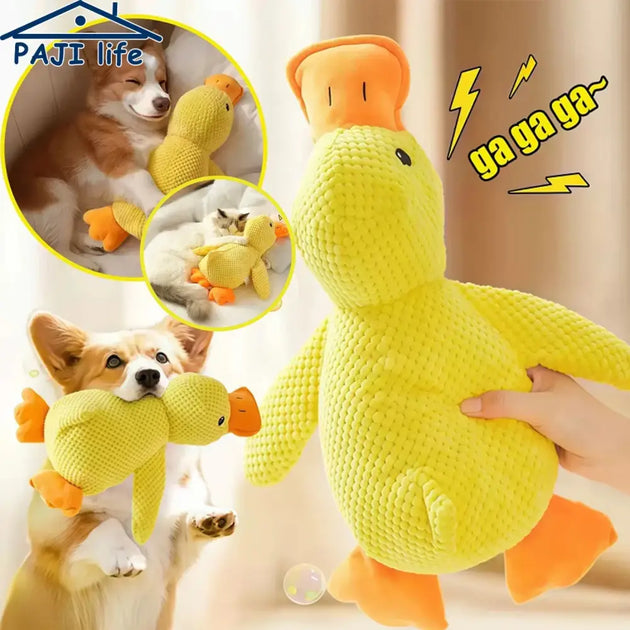 Jouet canard en peluche résistant et sonore pour chien - Jouet pour chien