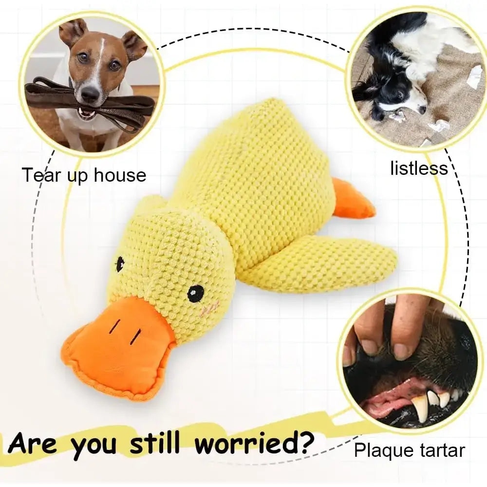 Jouet canard en peluche résistant et sonore pour chien - Jouet pour chien