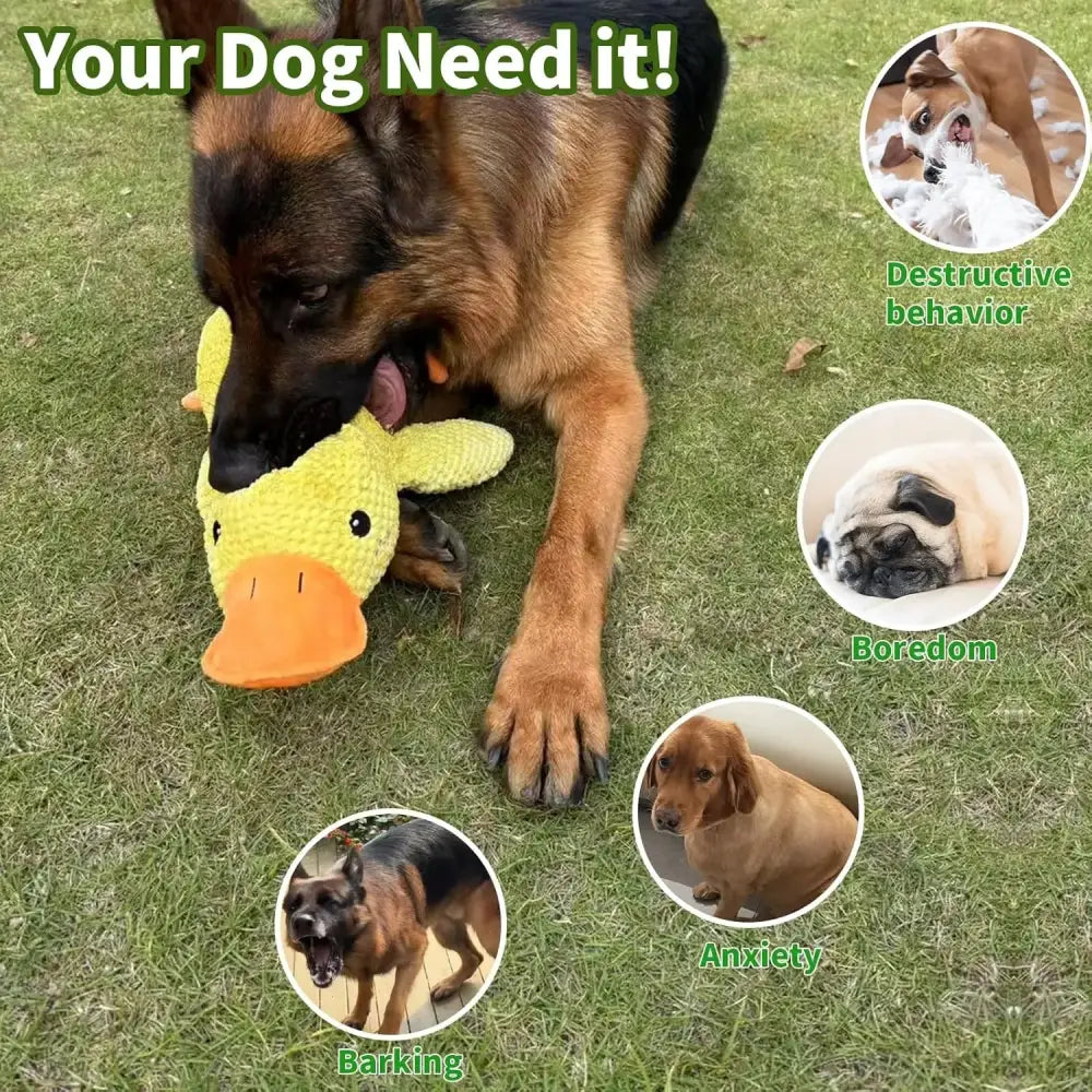 Jouet canard en peluche résistant et sonore pour chien - Jouet pour chien