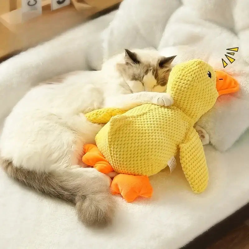 Jouet canard en peluche résistant et sonore pour chien - Jouet pour chien
