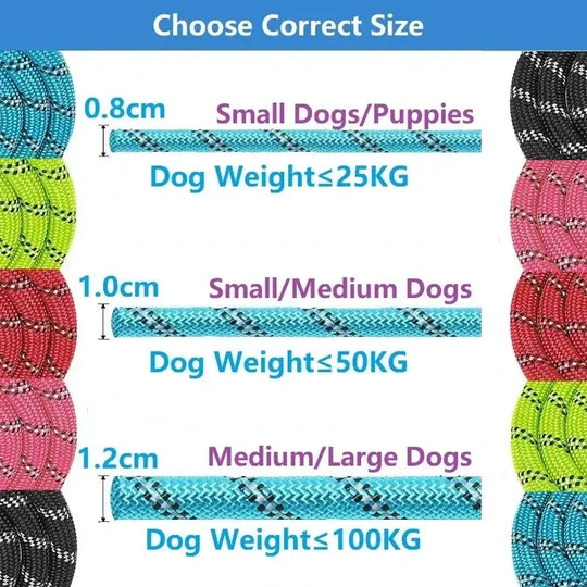 Laisse chien tressée bleue – Poignée en mousse ergonomique - Laisse pour chien