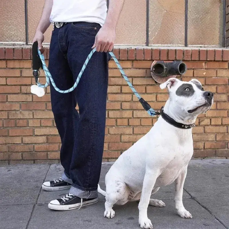 Laisse chien tressée bleue – Poignée en mousse ergonomique - Laisse pour chien