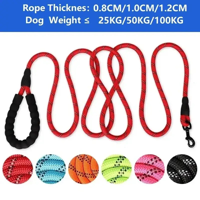 Laisse chien tressée bleue – Poignée en mousse ergonomique - Laisse pour chien
