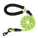 Laisse chien tressée bleue – Poignée en mousse ergonomique - Vert / 1.2cm 3M - Laisse pour chien
