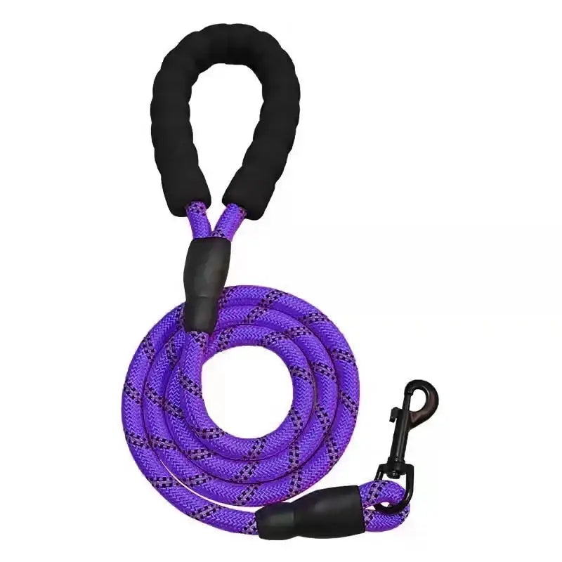 Laisse chien tressée bleue – Poignée en mousse ergonomique - Violet / 1.2cm 3M - Laisse pour chien