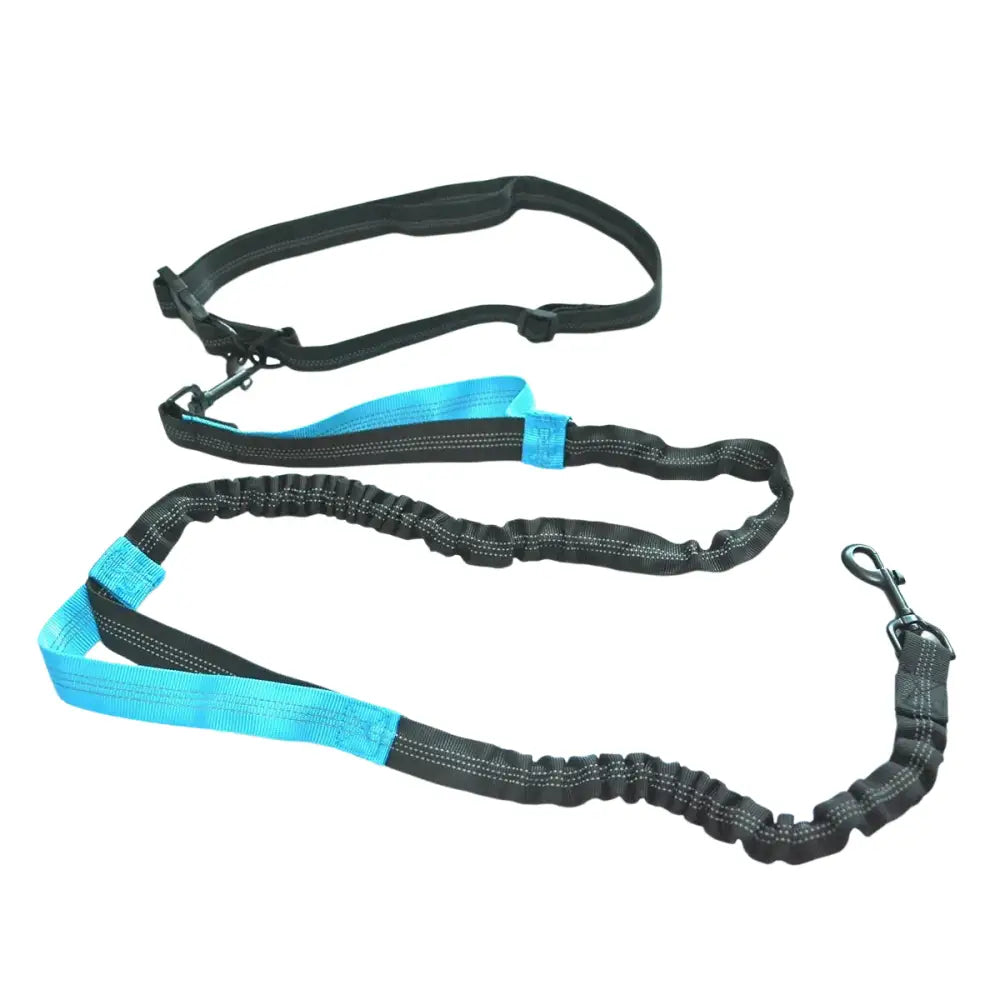 Laisse de course élastique pour chien avec ceinture - Bleu - Laisse de course réfléchissante