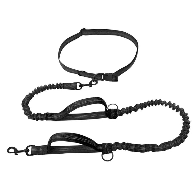Laisse de course élastique pour chien avec ceinture - Noir - Laisse de course réfléchissante