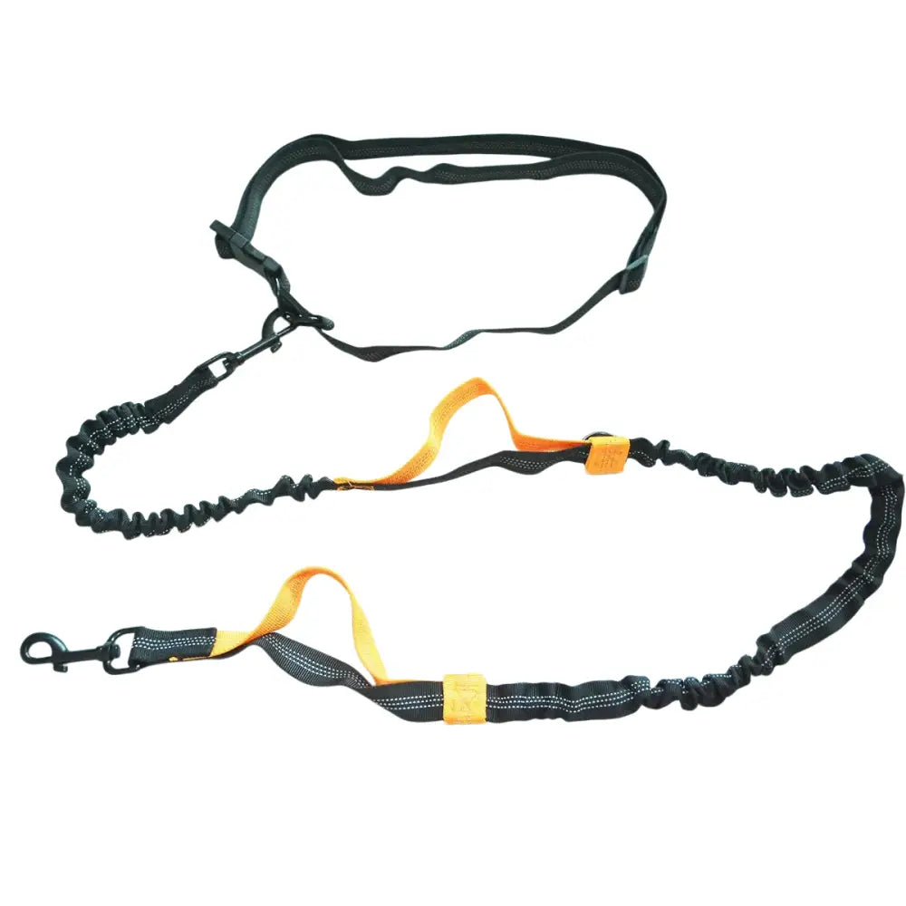 Laisse de course élastique pour chien avec ceinture - Orange - Laisse de course réfléchissante