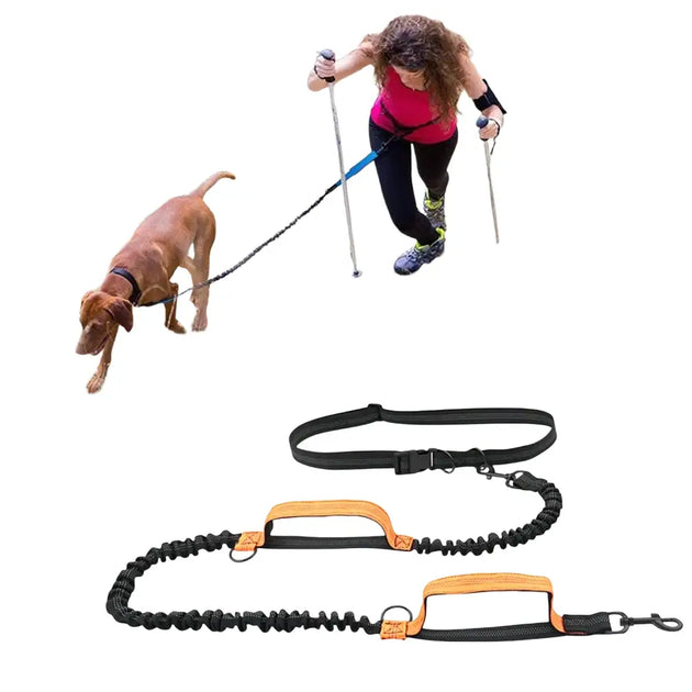 Laisse de course élastique pour chien avec ceinture - Laisse de course réfléchissante